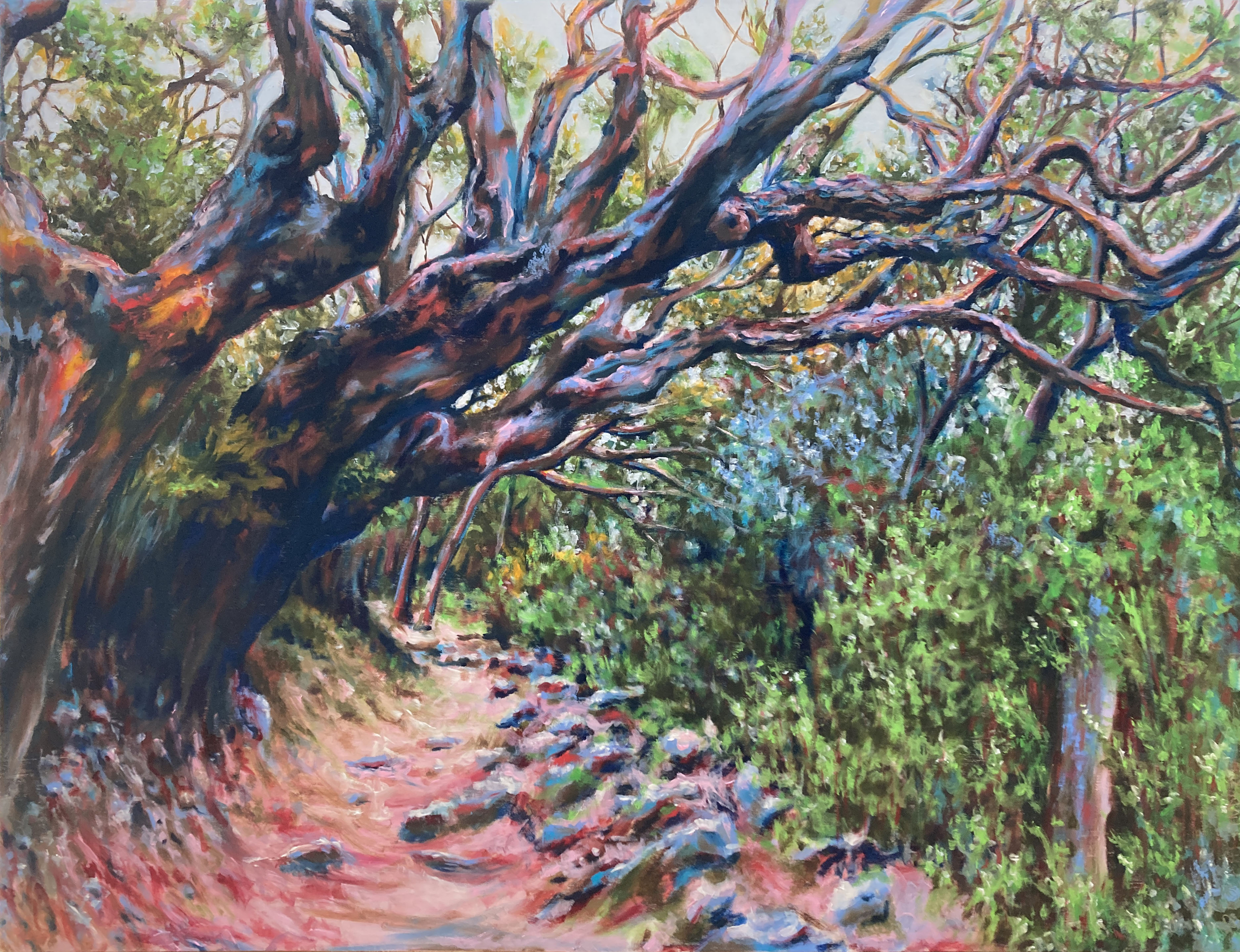 Maquis chiesa 100x130cm